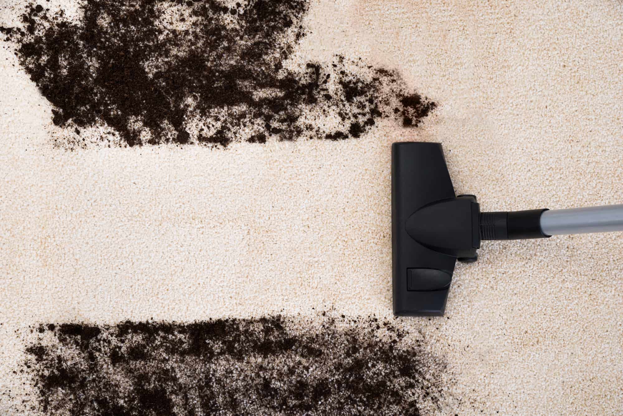 carpet cleaner in clitheroe
